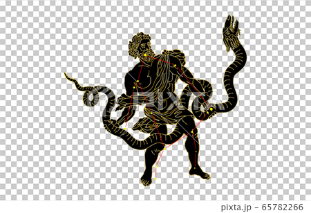 88 constellation Black Ophiuchus 88 constellation Black Ophiuchus 65782266