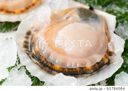 殻付き帆立 殻付き帆立 65784064