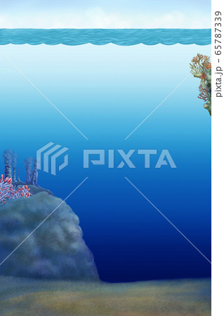 海 水中 海洋 65787339