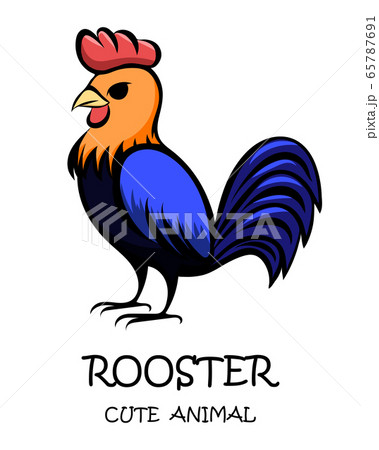 Vector illustration cartoon on a white background of a cute rooster.  65787691