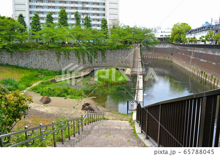 東京都北区滝野川にある、音無もみじ緑地（おとなしもみじりょくち） 65788045