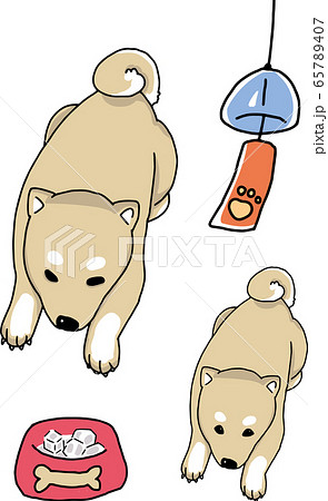 あついな柴犬せっと あついな柴犬せっと 65789407