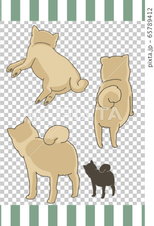 Shiba Inu Shiba Inu 65789412