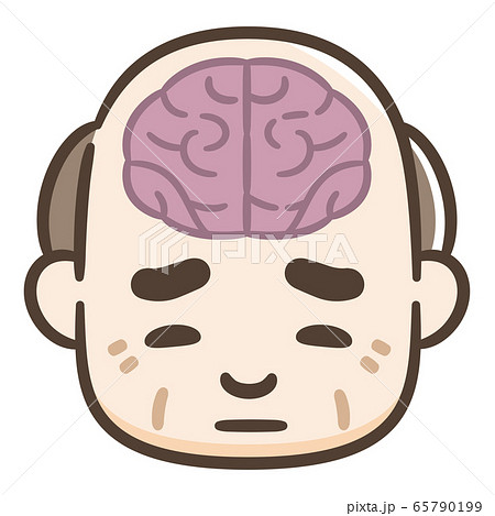 脳 シニア男性 脳 シニア男性 65790199