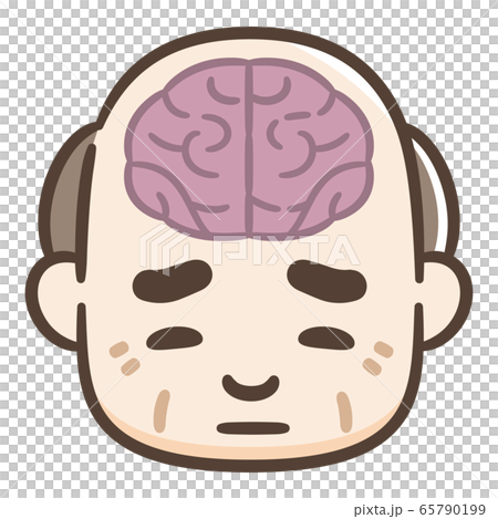 脳 シニア男性 脳 シニア男性 65790199