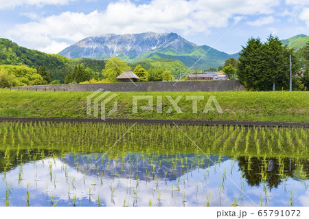 新緑と国立公園大山 のどかな初夏の風景 茅葺小屋と水田に映る逆さ大山の写真素材