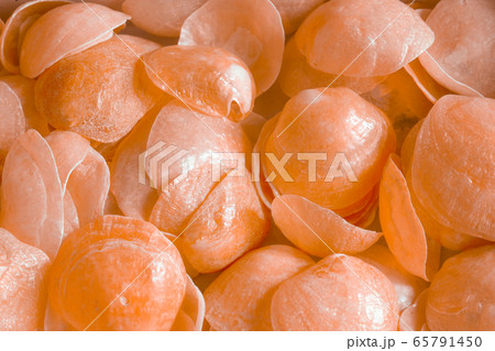 幸運を呼ぶピンクやオレンジの小さな貝の写真素材