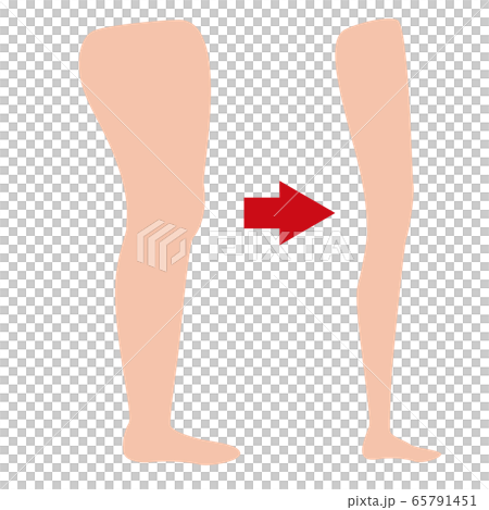ダイエット 脚やせ 素足 ダイエット 脚やせ 素足 65791451