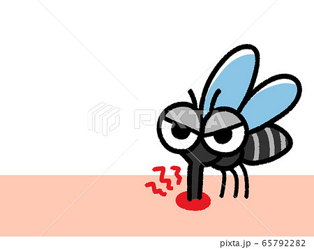 血を吸う蚊　コピースペース 65792282