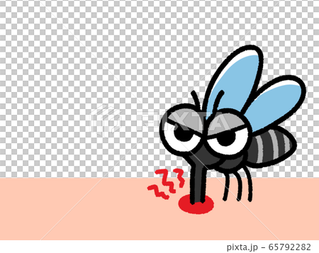 血を吸う蚊　コピースペース 65792282