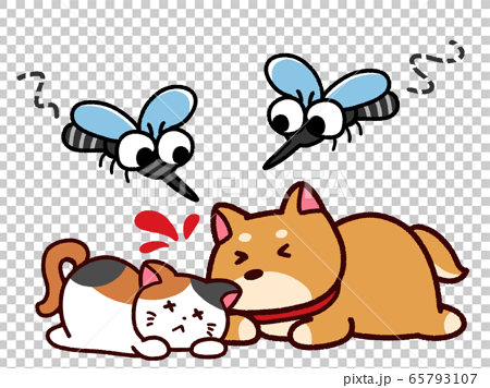 ペットに集まる蚊 犬猫のイラスト素材
