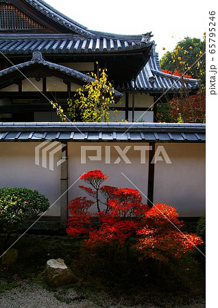 紅葉の京都 随心院　 65795246