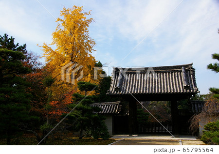 紅葉の京都 随心院 紅葉の京都 随心院 65795564