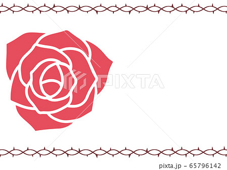 薔薇と茨のイラスト素材