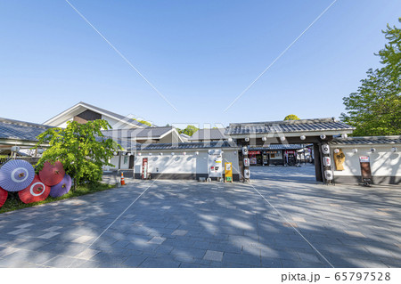 熊本県熊本市　快晴の桜の馬場　城彩苑　 65797528