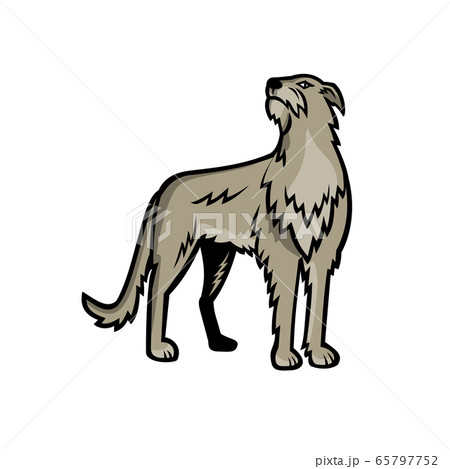 Scottish Deerhound Dog Standing Mascot 65797752
