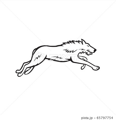 Scottish Deerhound Side Black and White 65797754