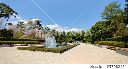 山梨県山梨市、万力公園の噴水広場と桜 65798245