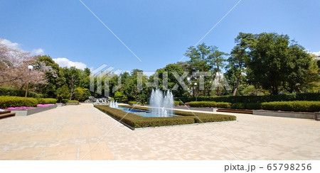 山梨県山梨市、万力公園の噴水広場と桜 山梨県山梨市、万力公園の噴水広場と桜 65798256