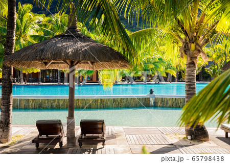 Palm luxury resort with coconut palms, pool and chaise. Tropical holiday banner 65798438
