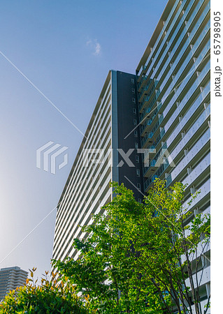 マンション マンション 65798905