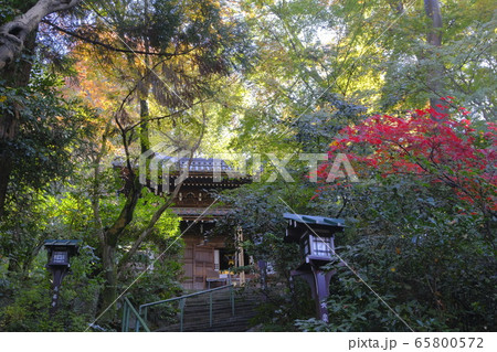 京都 平家物語ゆかりの長楽寺の紅葉 65800572