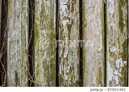 Close up of old gray wooden fence panels 65801462
