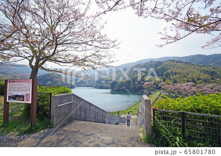 昭和池 昭和池 65801780