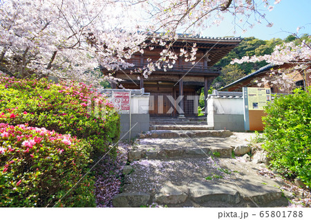 大興善寺 大興善寺 65801788