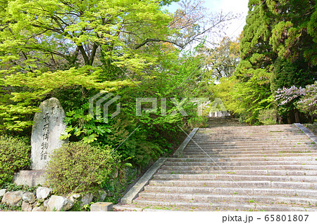 旧長府博物館 65801807