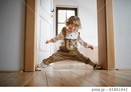 Small toddler girl standing indoors at home, having fun. 65801942