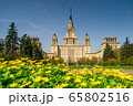 The main building of Moscow State University on a background of yellow flowers The main building of Moscow State University on a background of yellow flowers 65802516