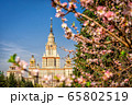 The main building of Moscow State University on a background of blooming cherry The main building of Moscow State University on a background of blooming cherry 65802519