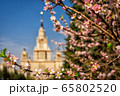 The main building of Moscow State University on a background of blooming cherry The main building of Moscow State University on a background of blooming cherry 65802520