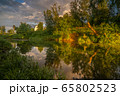 summer landscape near the New Jerusalem Monastery summer landscape near the New Jerusalem Monastery 65802523