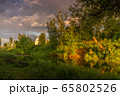 summer landscape near the New Jerusalem Monastery summer landscape near the New Jerusalem Monastery 65802526