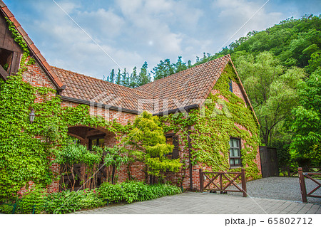 風景 植物 公園 65802712