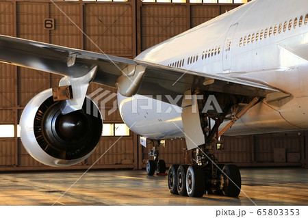 飛び立つその日まで 65803353