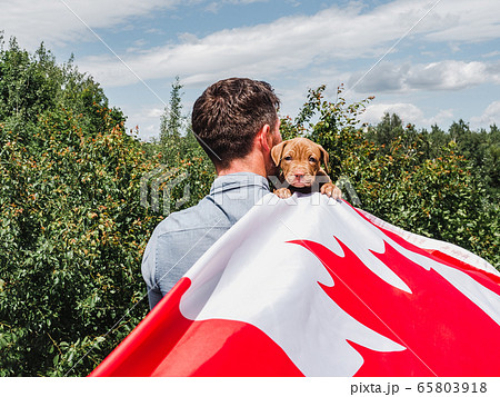 Handsome man and a charming puppy. Close-up 65803918
