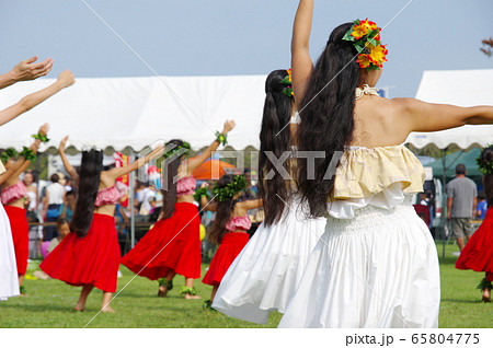 フラダンス 65804775