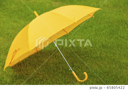 雨傘 子供傘 芝生 雨傘 子供傘 芝生 65805422