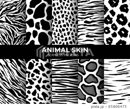 Animal fur seamless pattern black white background 65806475