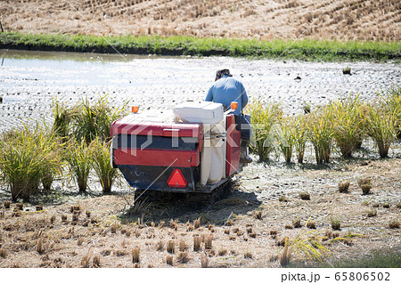 トラクター トラクター 65806502