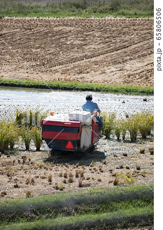 トラクター 65806506