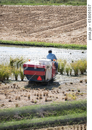 トラクター 65806507