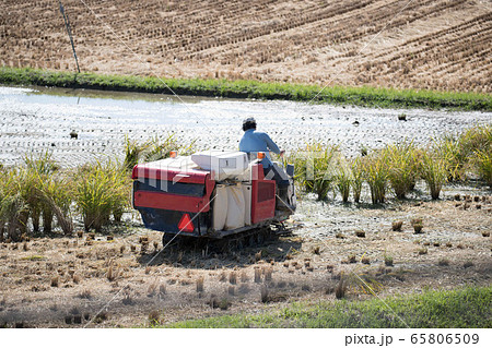トラクター 65806509