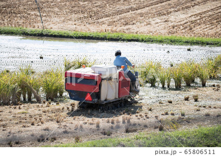 トラクター 65806511