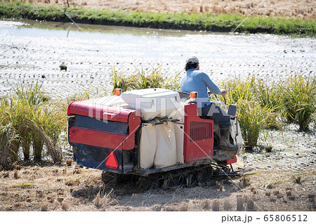 トラクター 65806512