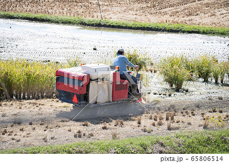 トラクター 65806514