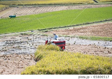 トラクター 65806517